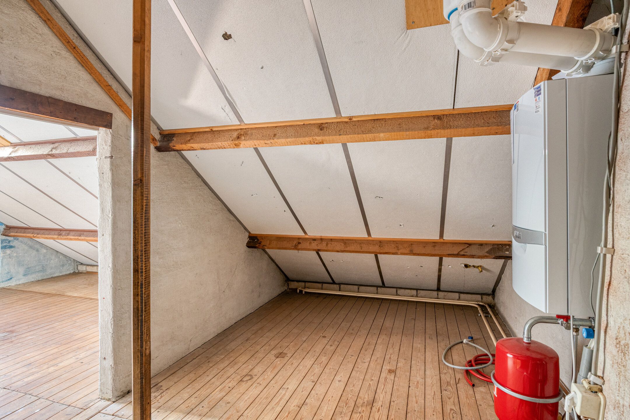 Foto 18 van Helfrichstraat 19