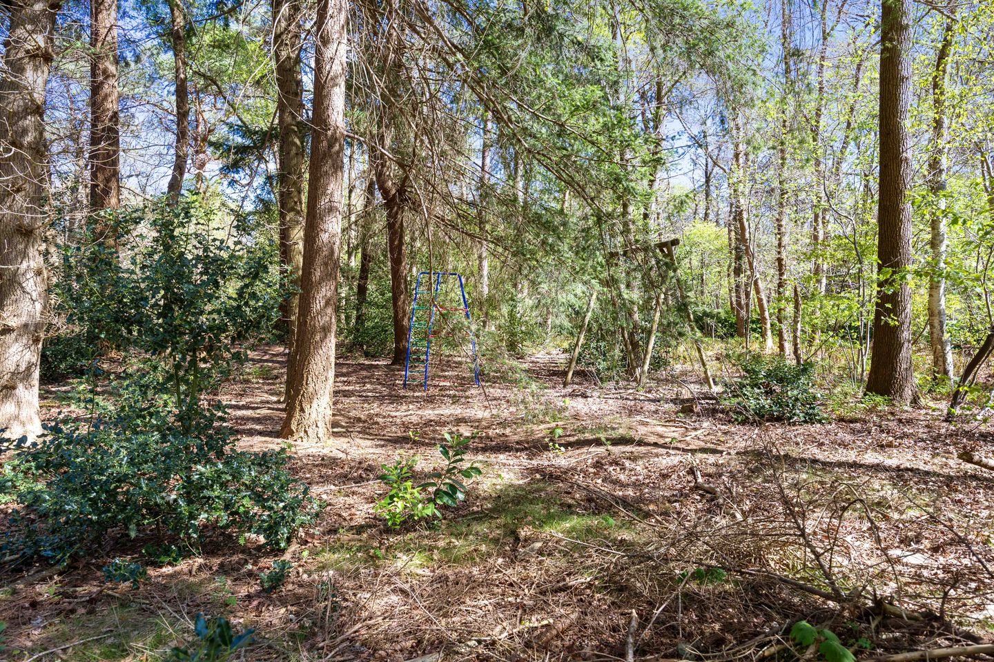 Foto 65 van Langeloërweg 34