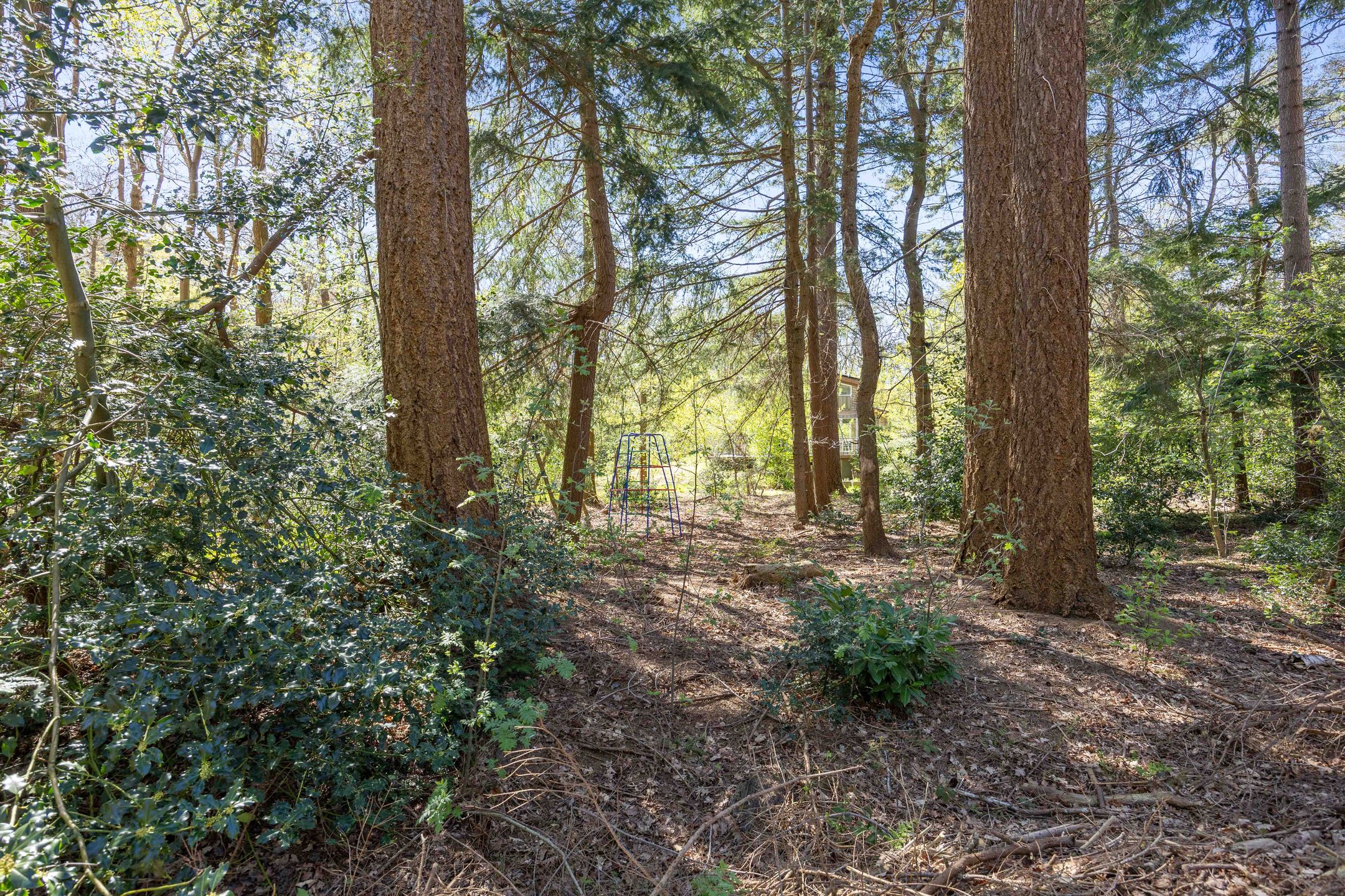 Foto 66 van Langeloërweg 34