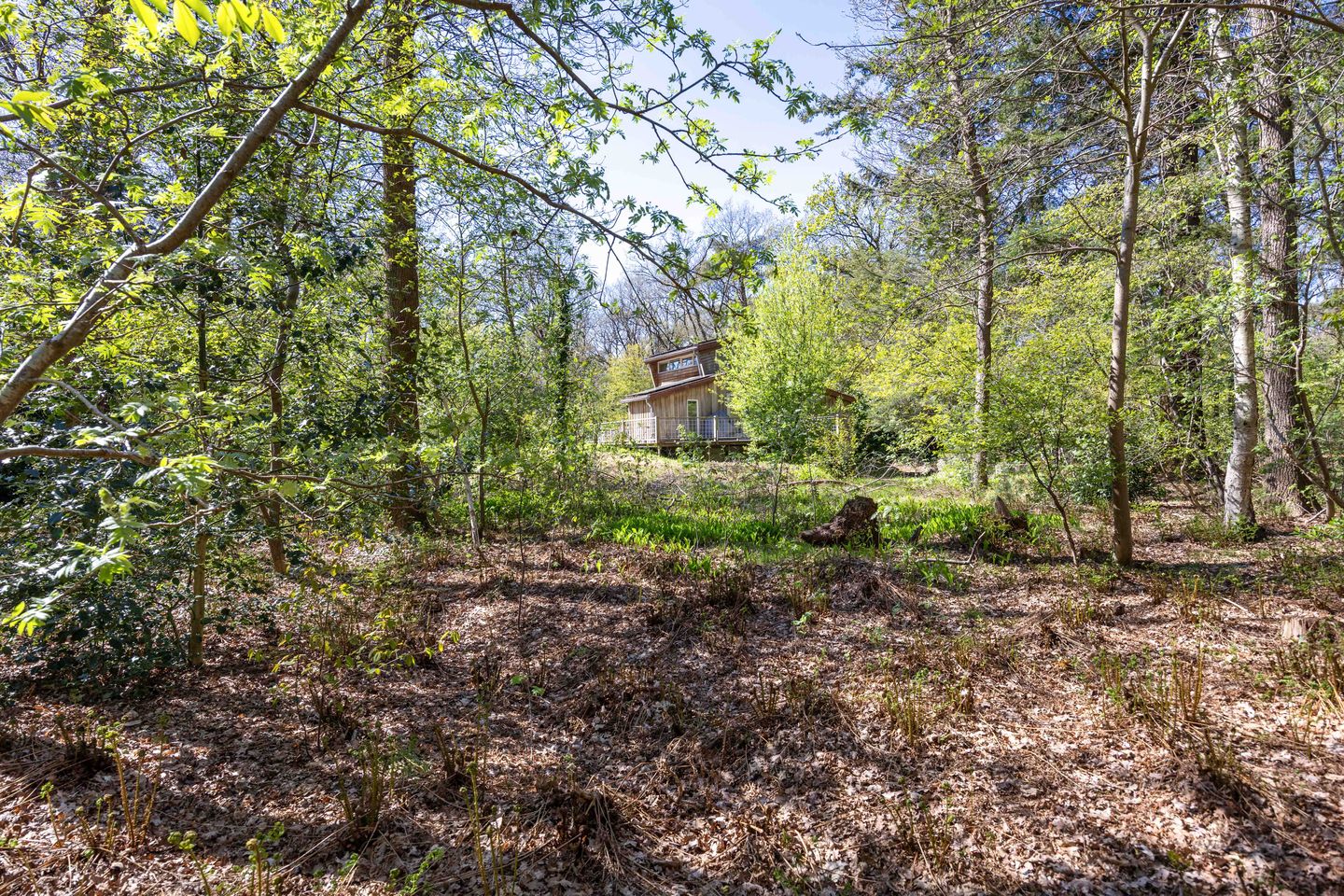 Foto 70 van Langeloërweg 34