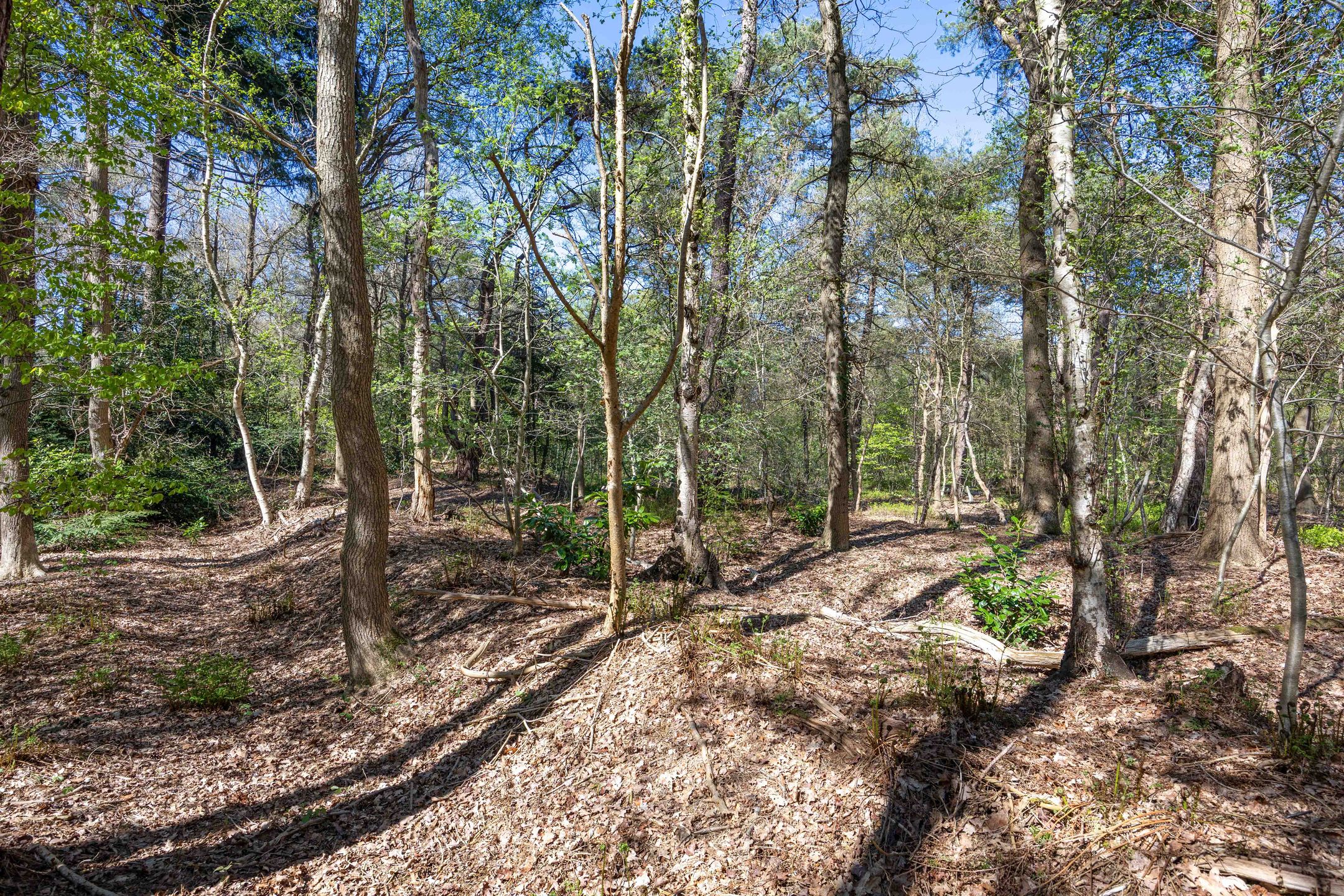 Foto 69 van Langeloërweg 34