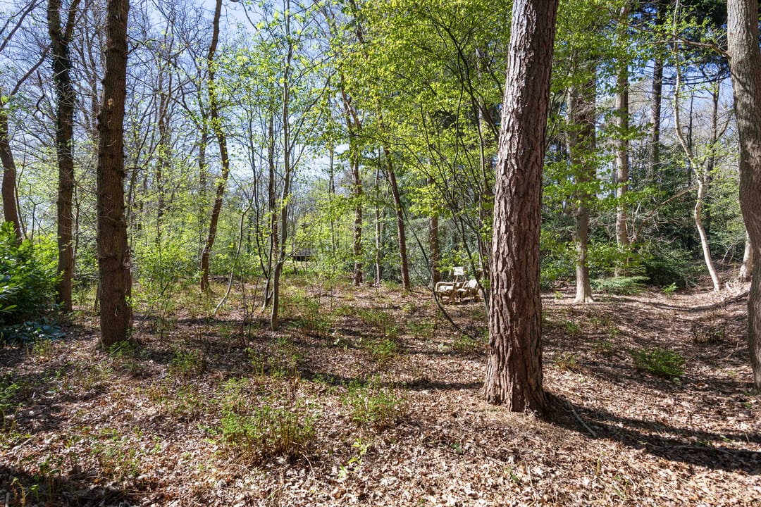 Foto 68 van Langeloërweg 34