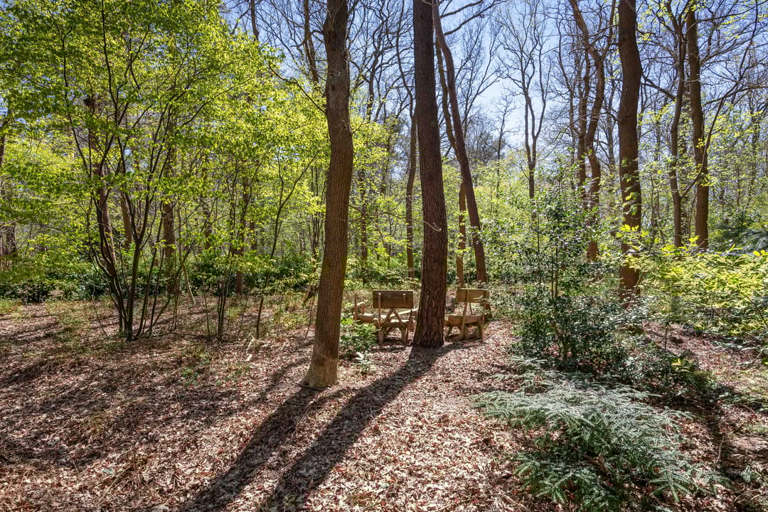 Foto 67 van Langeloërweg 34