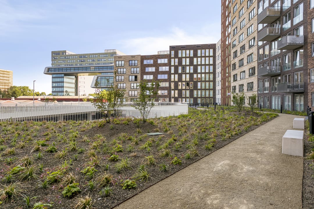 Foto 8 van Omegaplantsoen 455