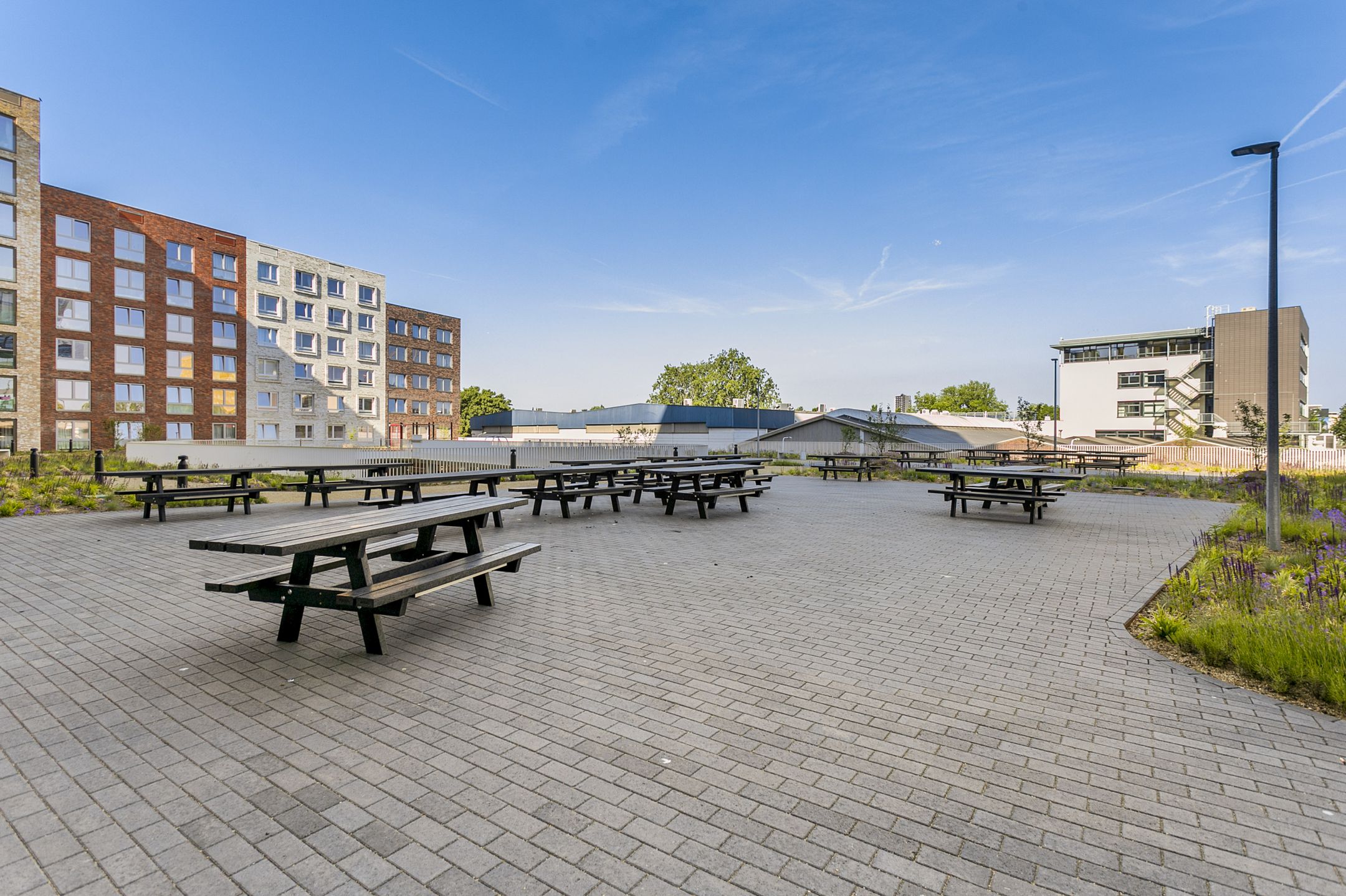 Foto 9 van Omegaplantsoen 455