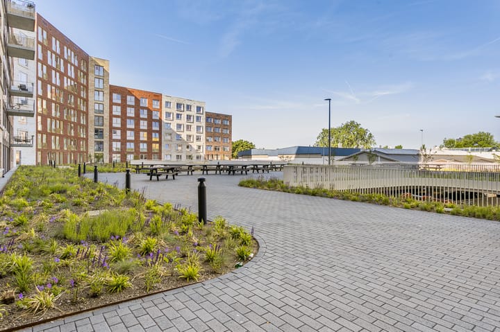 Foto 5 van Omegaplantsoen 455