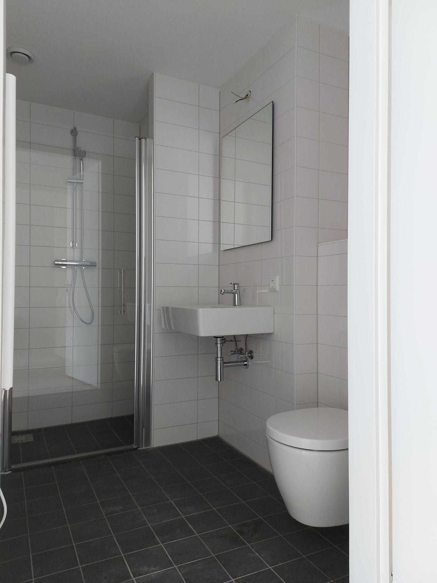 Foto 14 van Omegaplantsoen 455