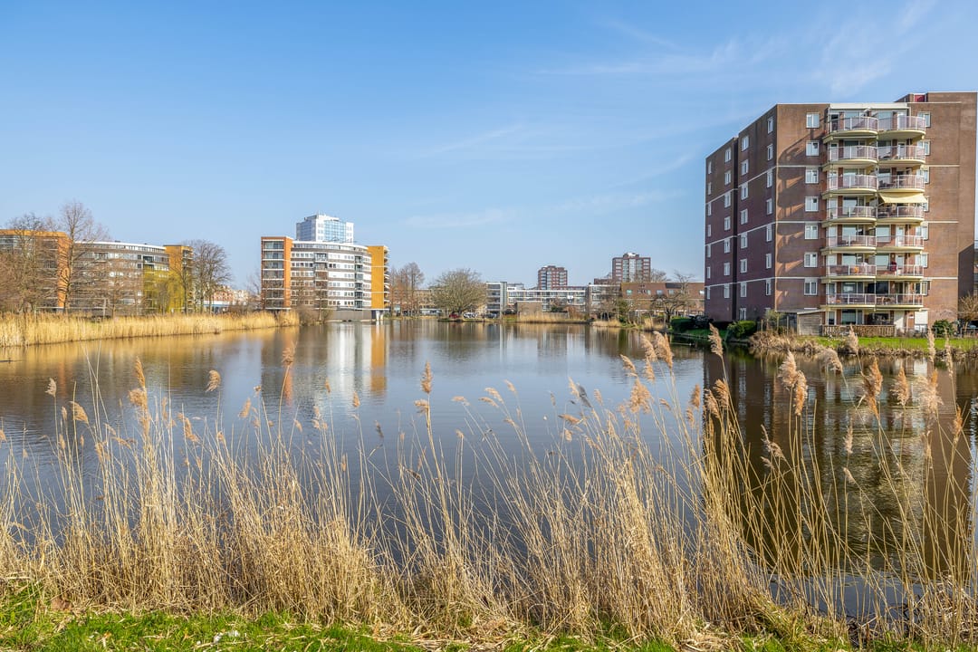 Foto 37 van Rubenssingel 49