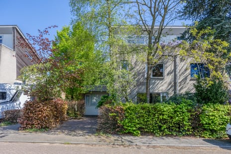 undefined main image