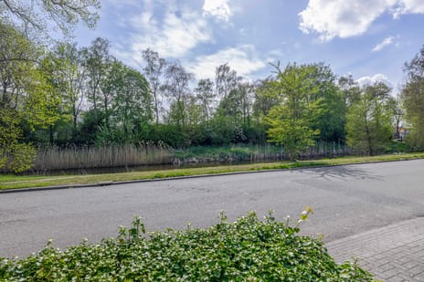 Couperuslaan 1-F secondary image