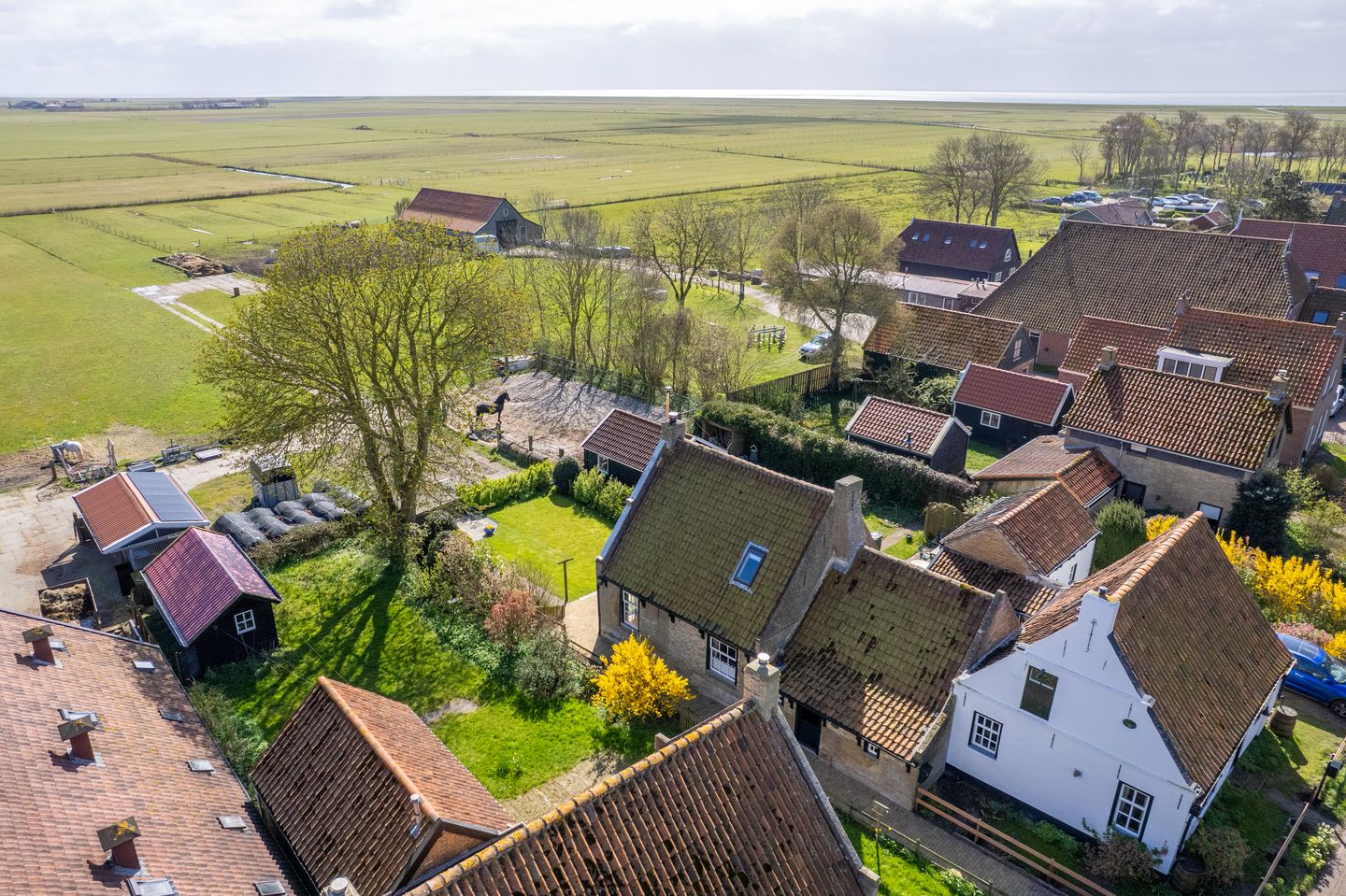 Photo 14 of Oosterlaan 26
