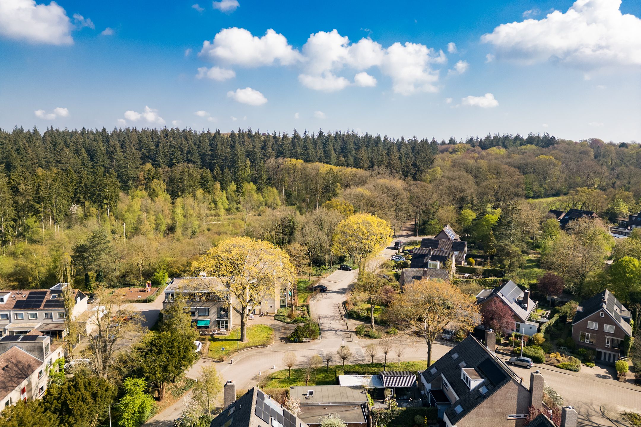 Foto 36 van Boslaan 53