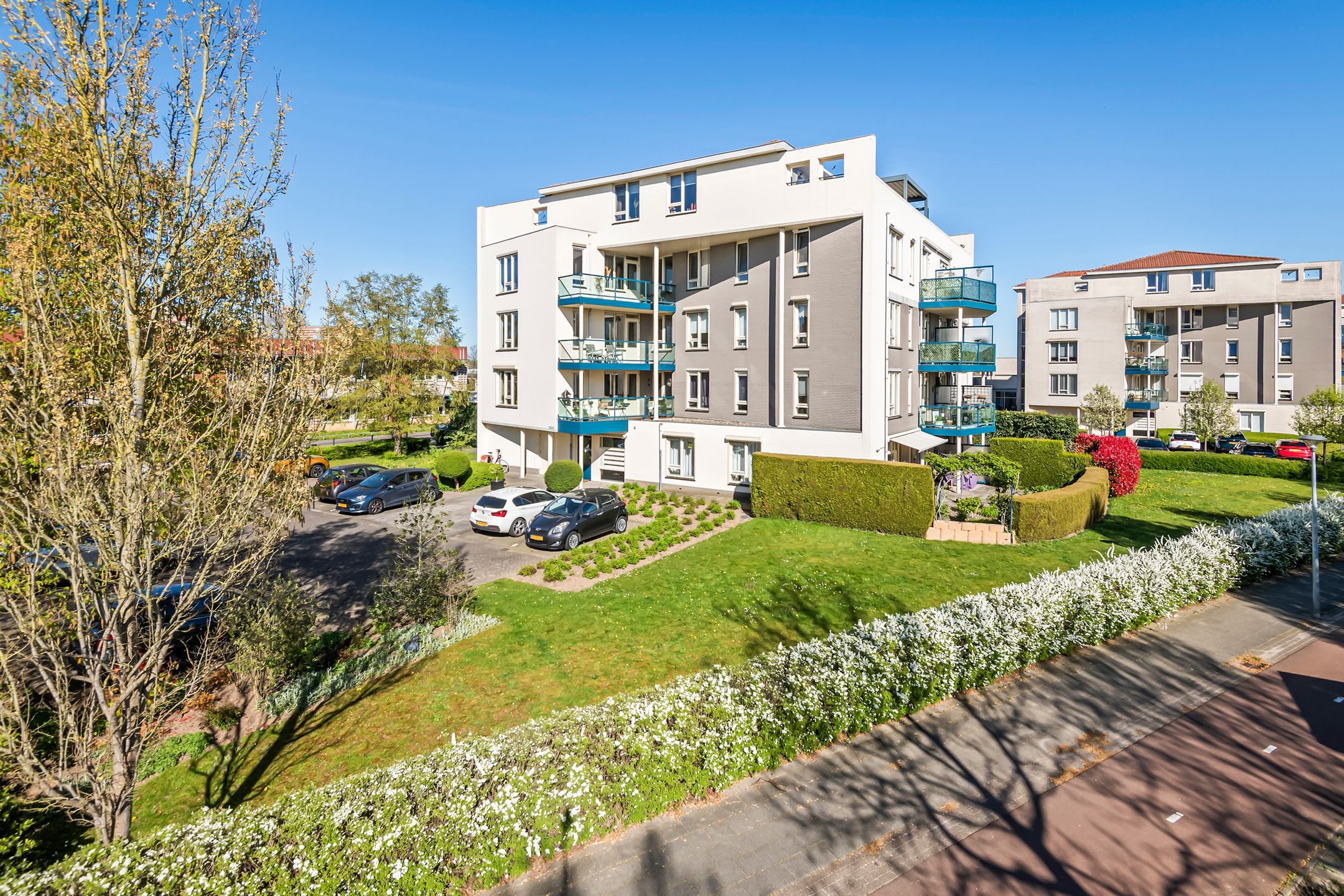 Foto 30 van Liguster 14