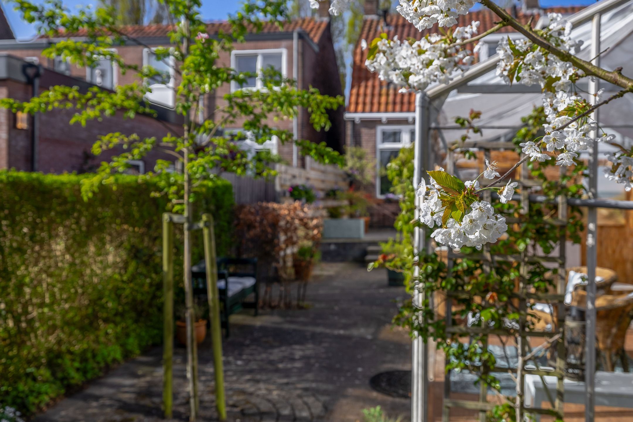 Foto 33 van Narcissenstraat 9