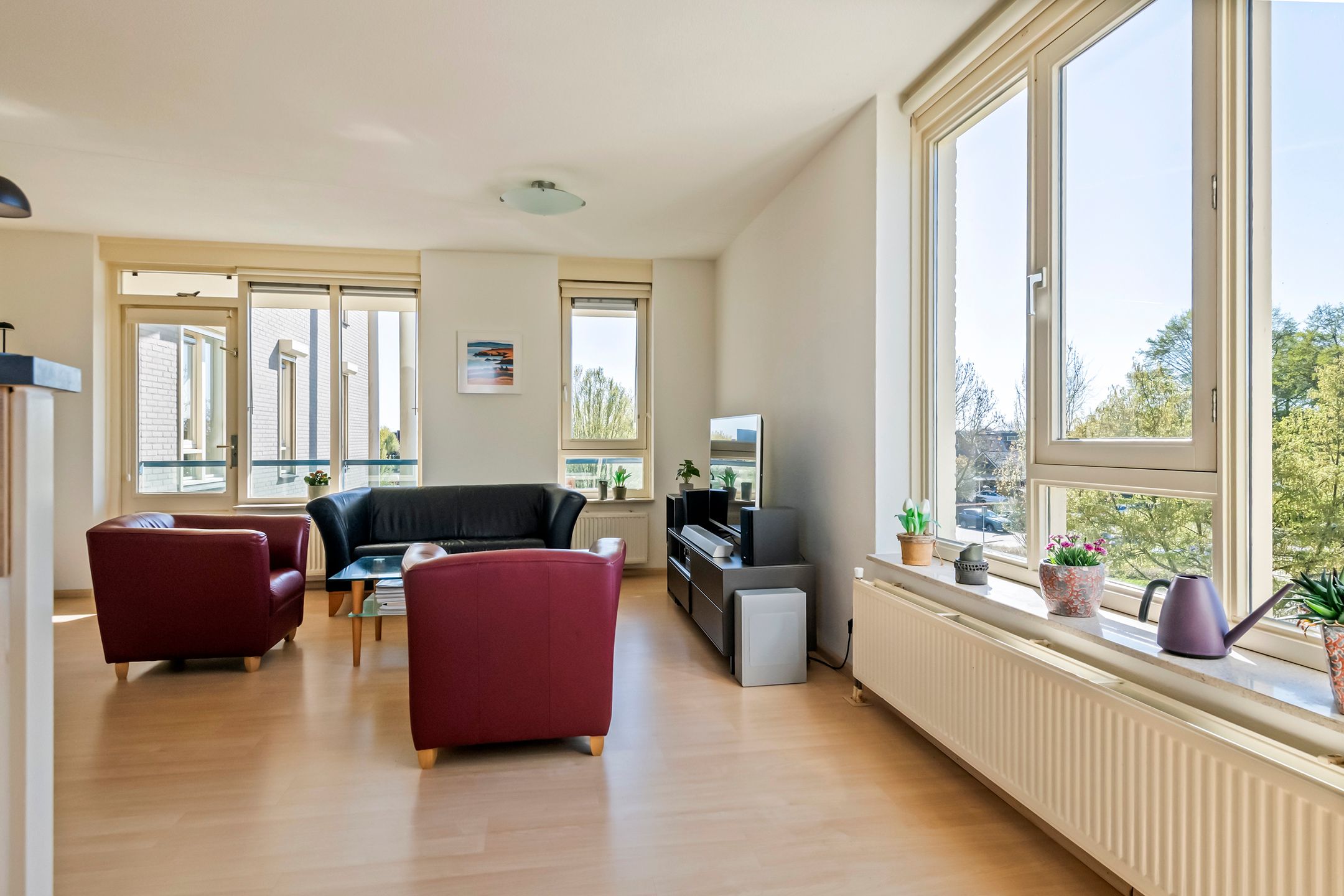 Foto 6 van Liguster 14