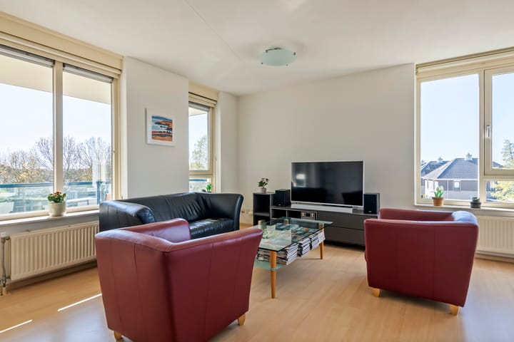 Foto 3 van Liguster 14