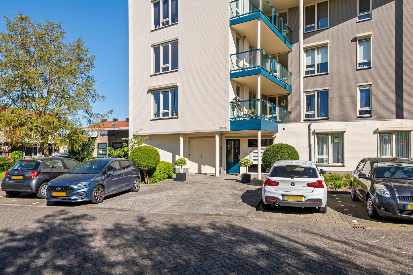 Foto 4 van Liguster 14