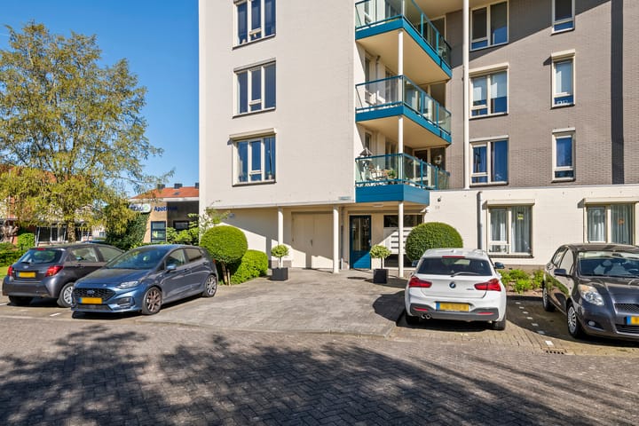 Foto 4 van Liguster 14