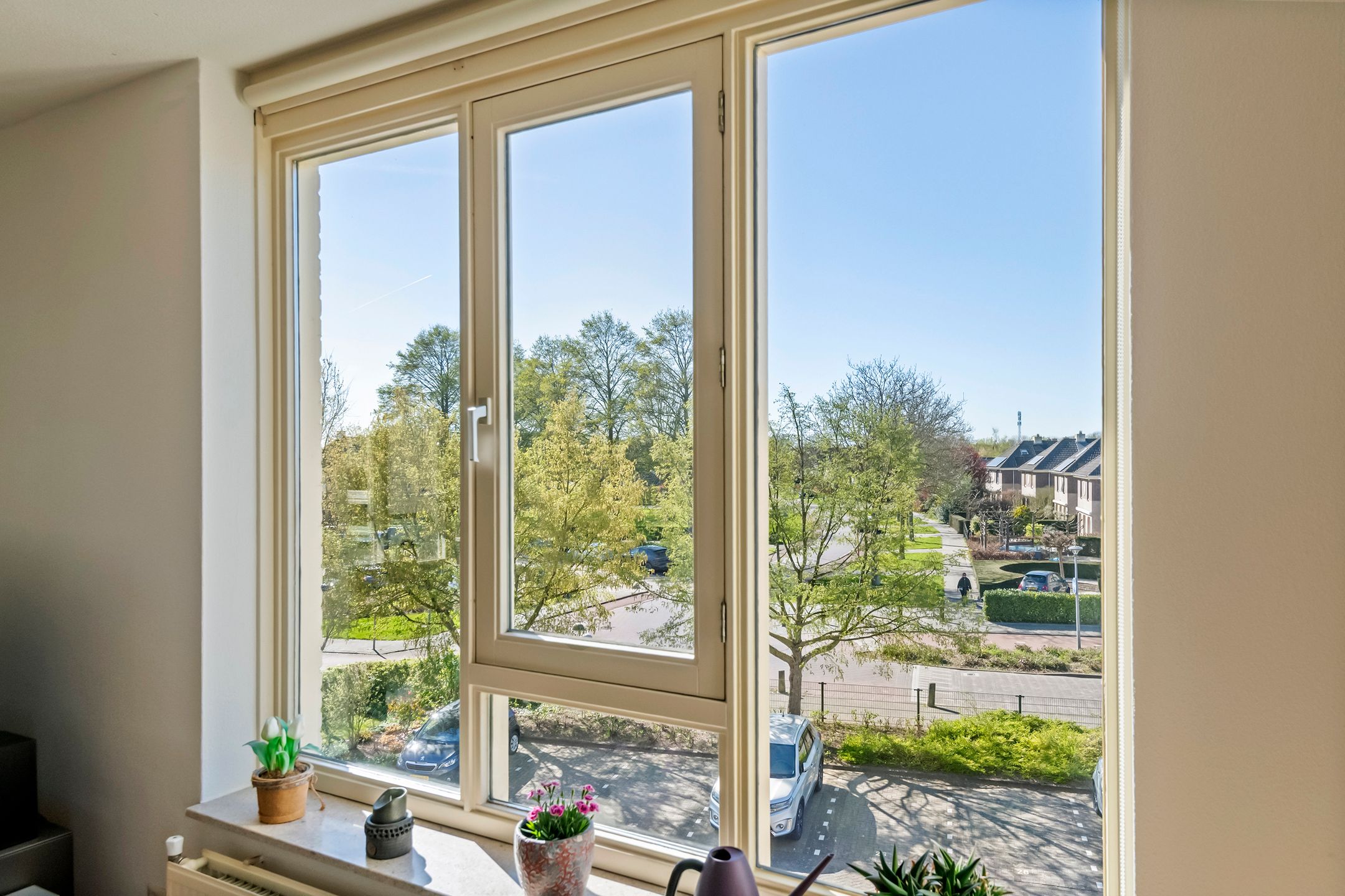 Foto 9 van Liguster 14