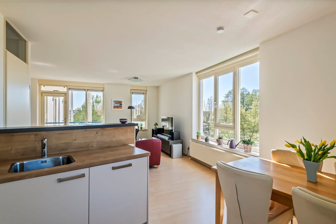 Foto 11 van Liguster 14