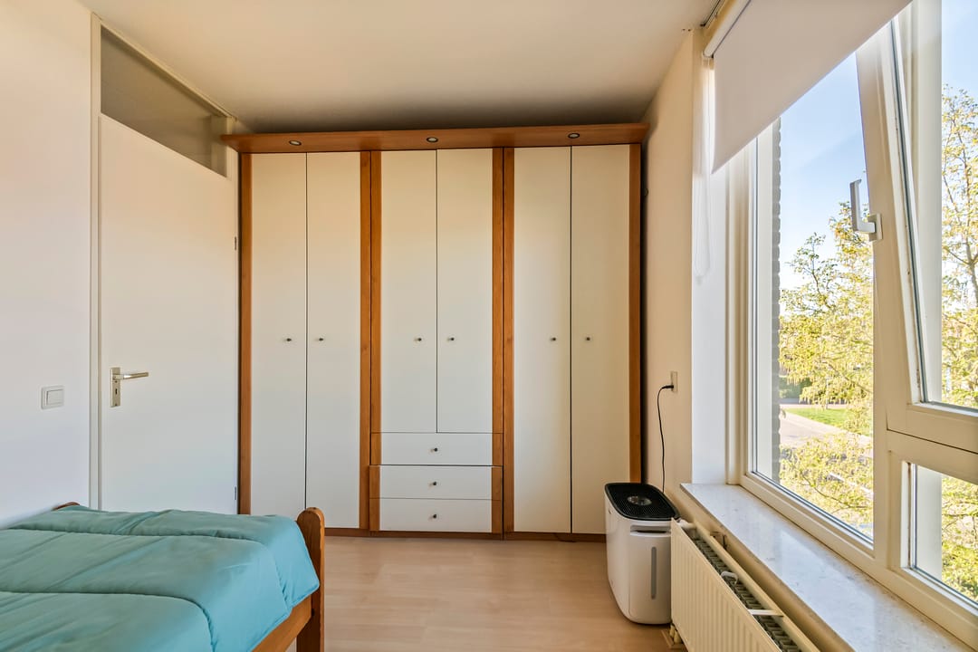 Foto 17 van Liguster 14