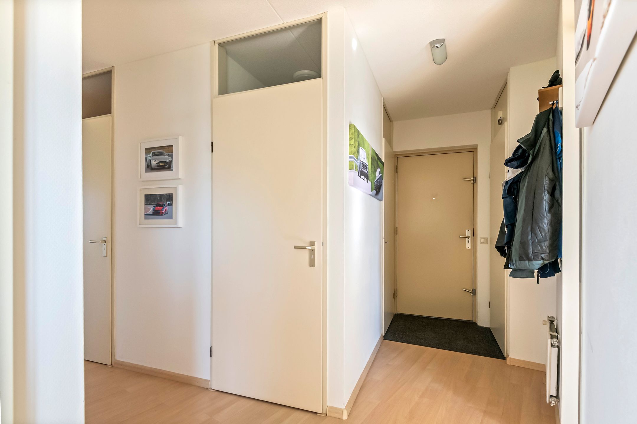 Foto 21 van Liguster 14