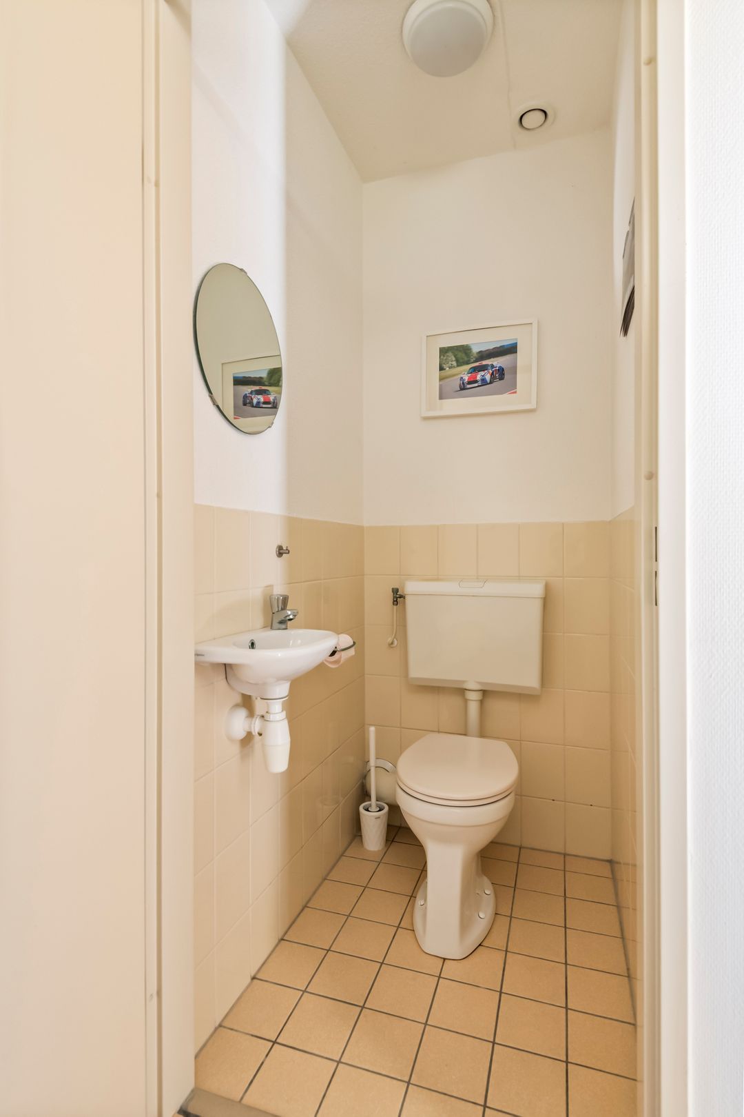 Foto 22 van Liguster 14