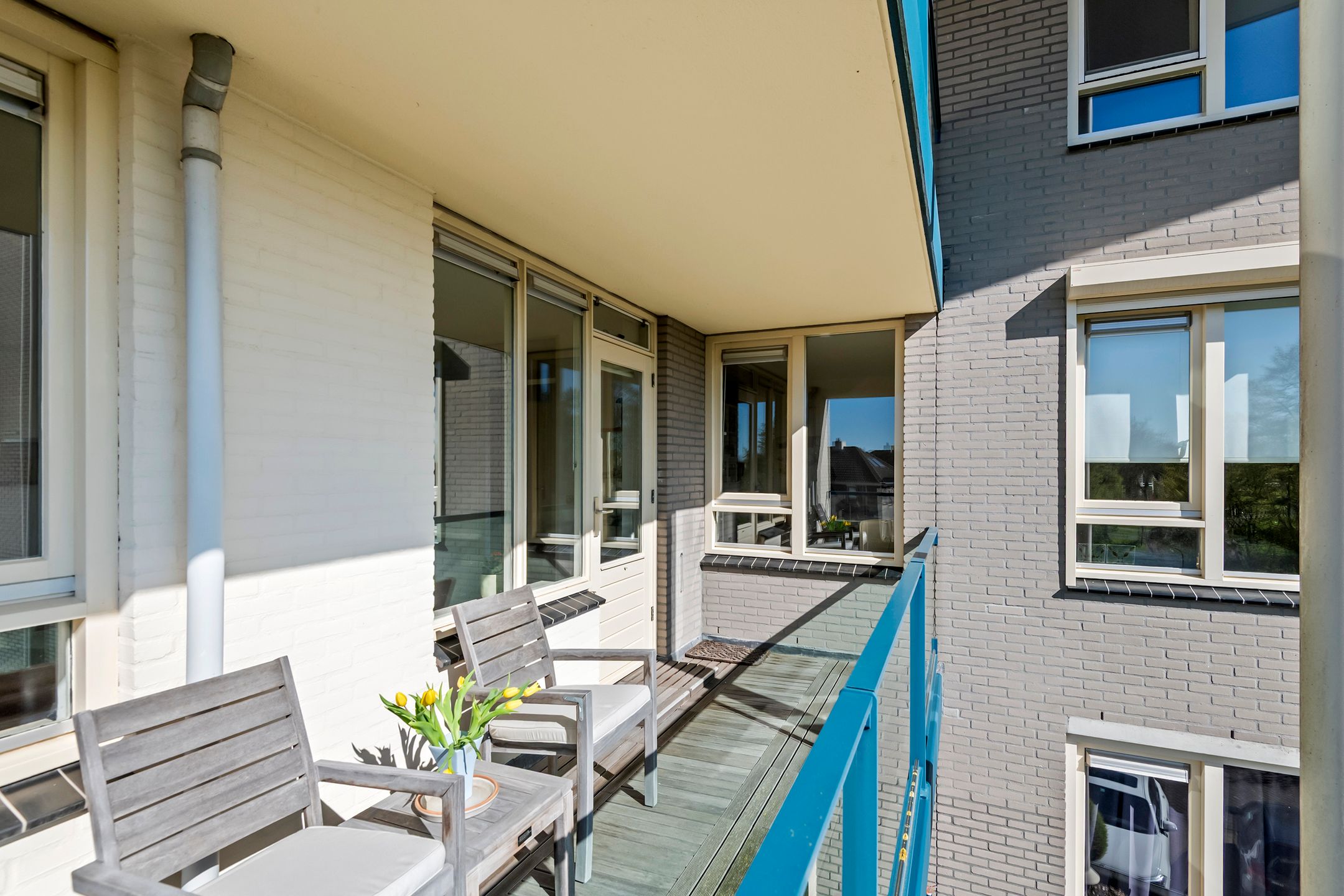 Foto 24 van Liguster 14