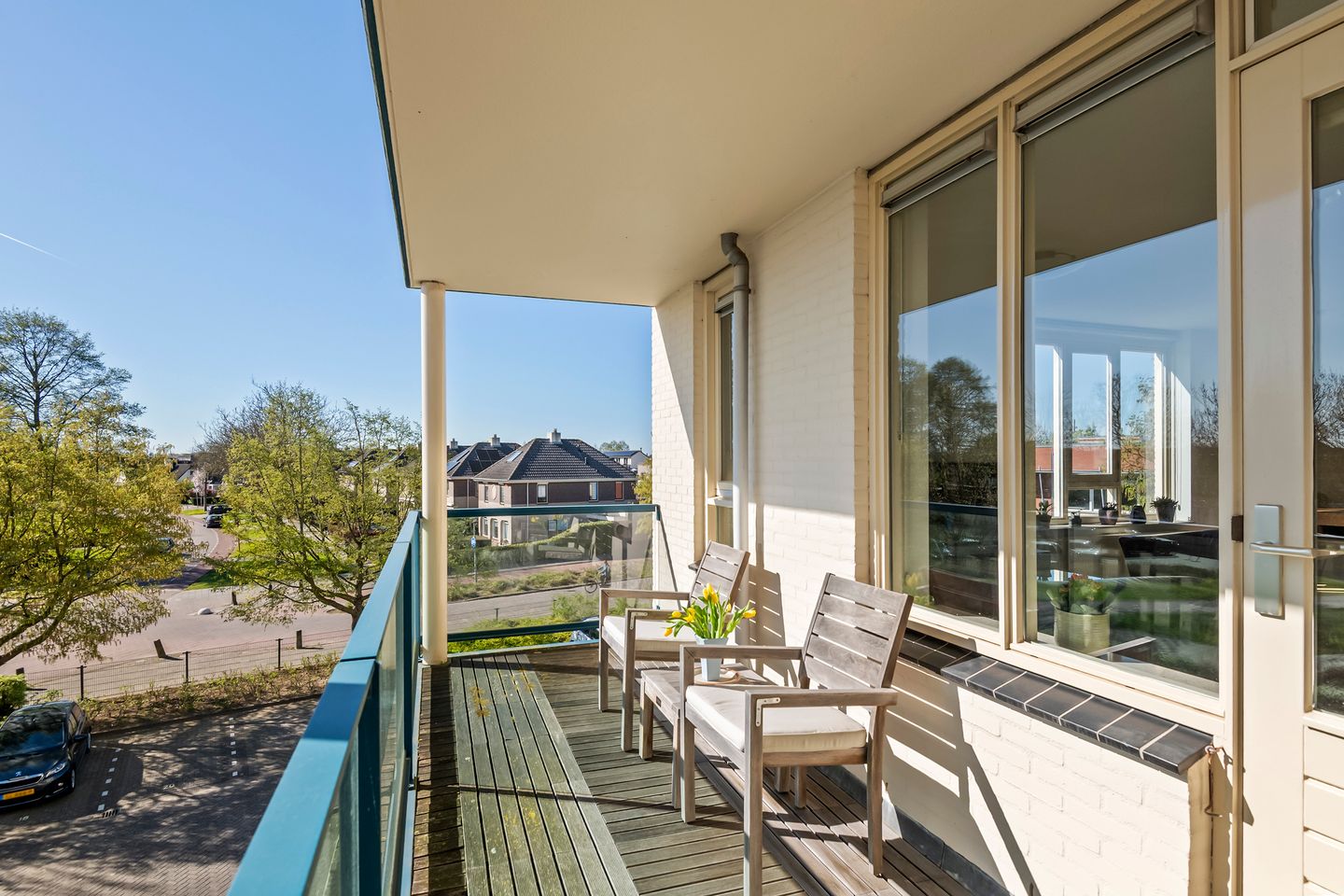 Foto 25 van Liguster 14