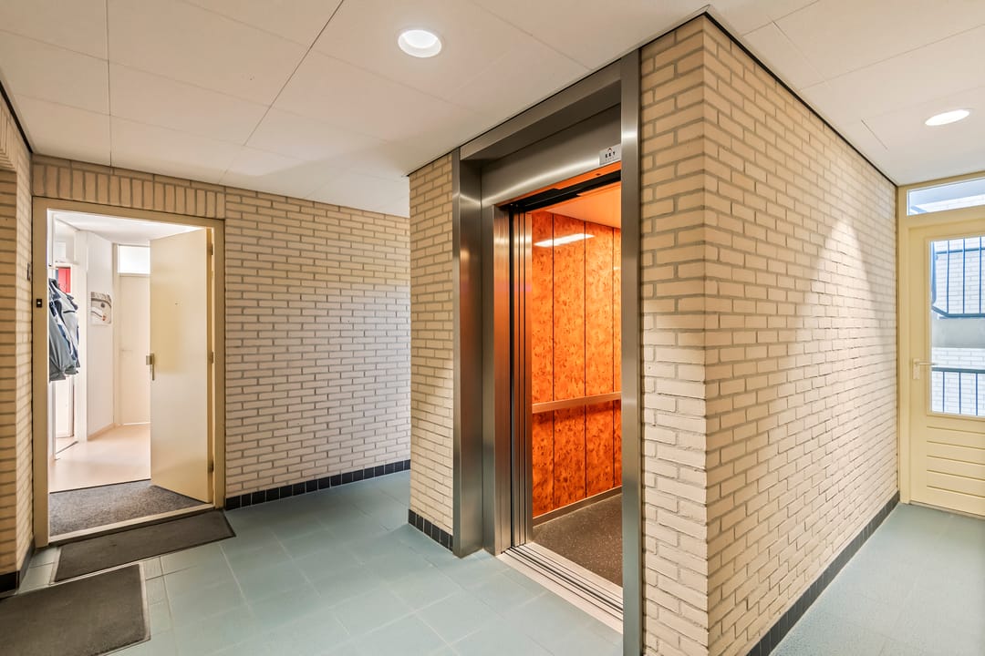 Foto 26 van Liguster 14