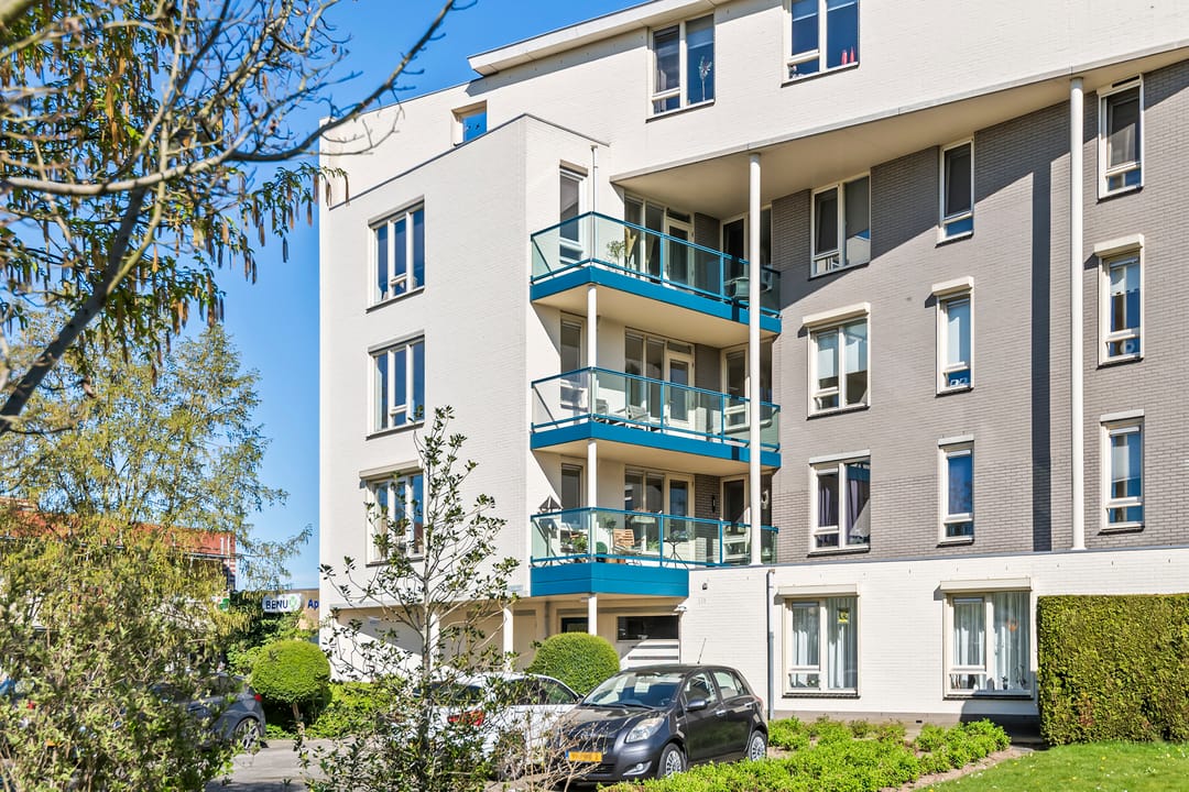 Foto 28 van Liguster 14