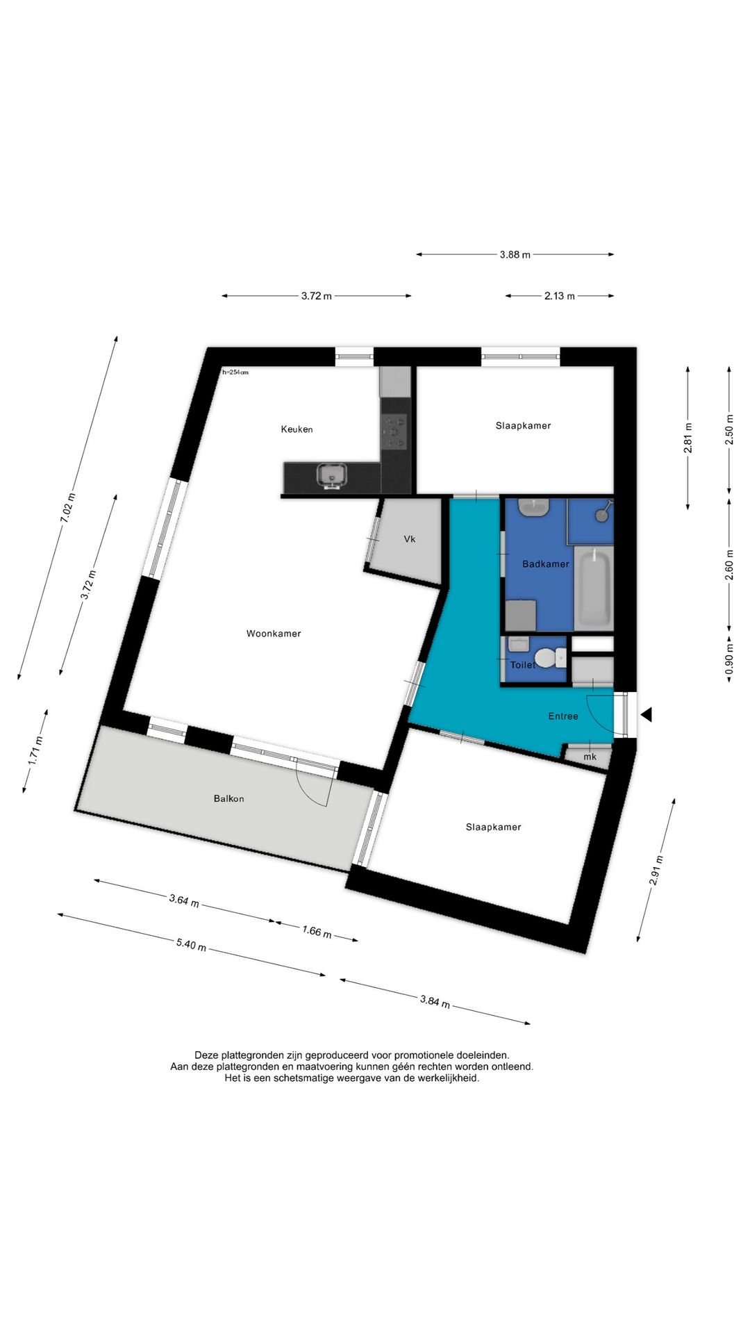 Foto 31 van Liguster 14