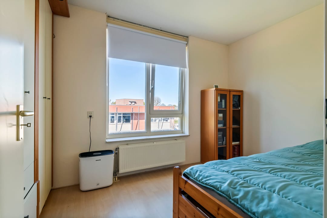 Foto 16 van Liguster 14