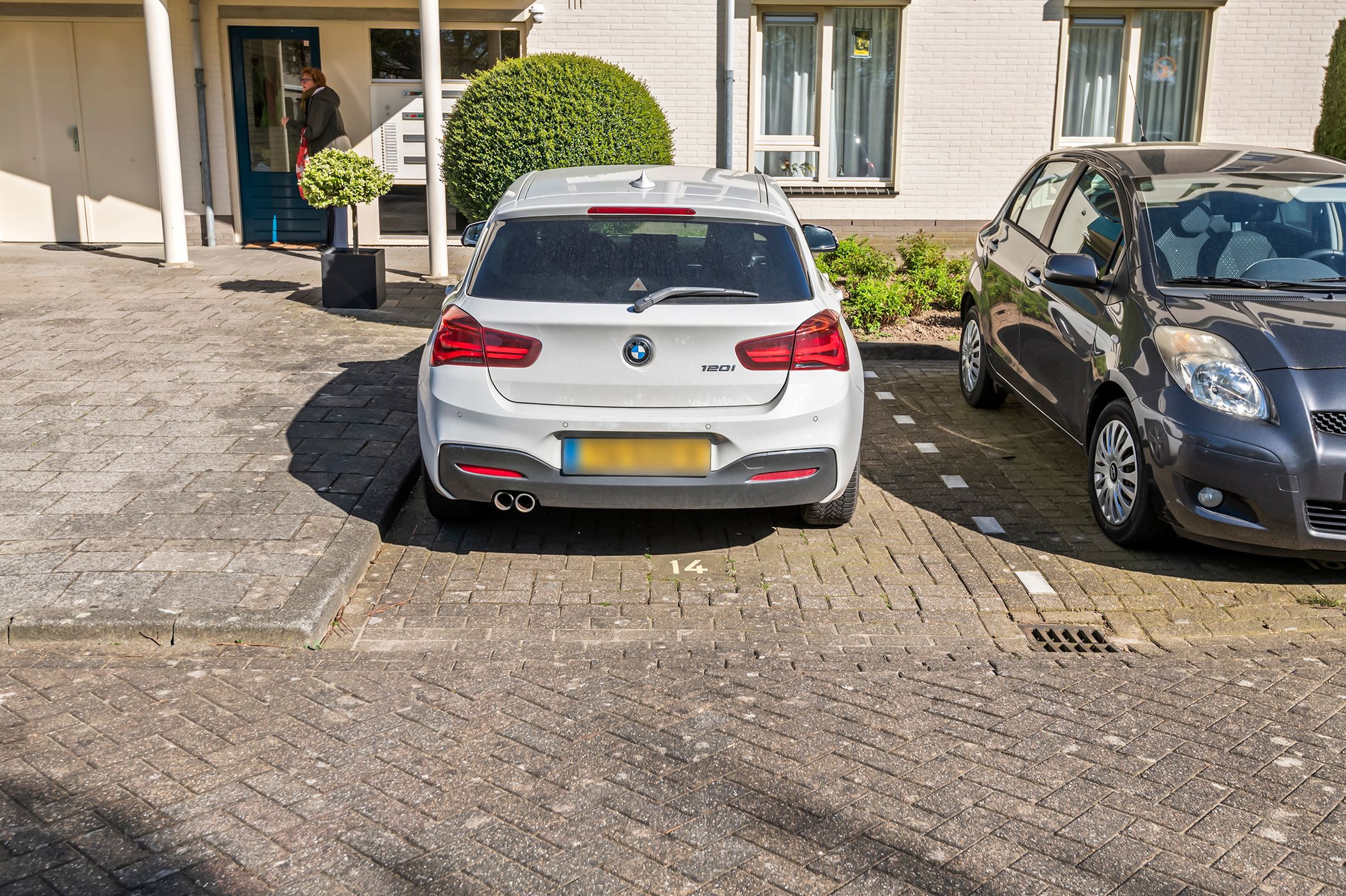 Foto 27 van Liguster 14