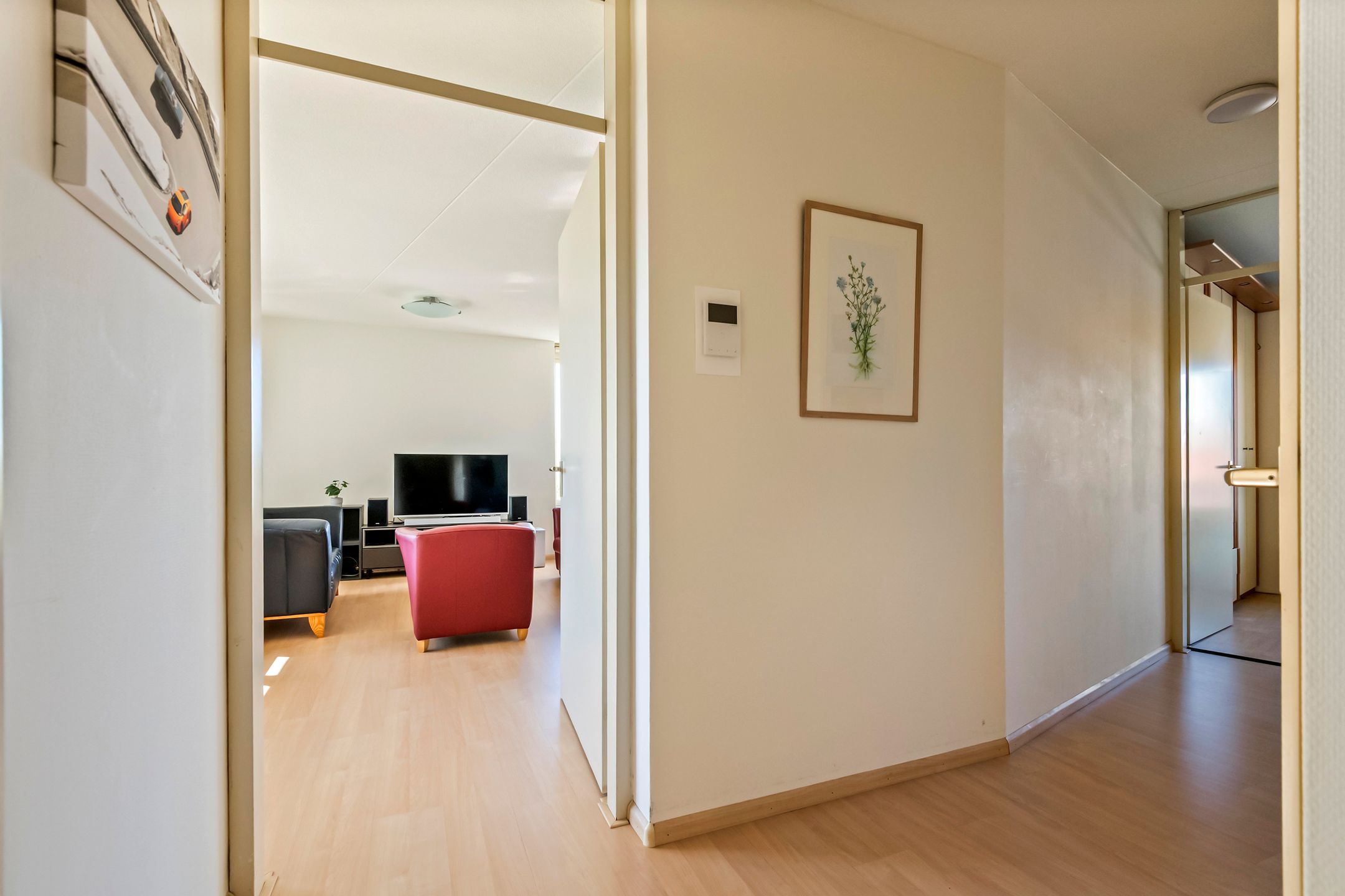 Foto 12 van Liguster 14