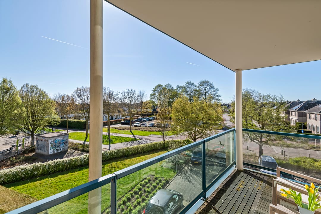 Foto 23 van Liguster 14