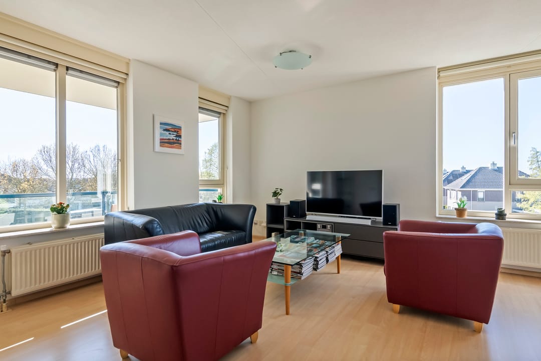 Foto 7 van Liguster 14