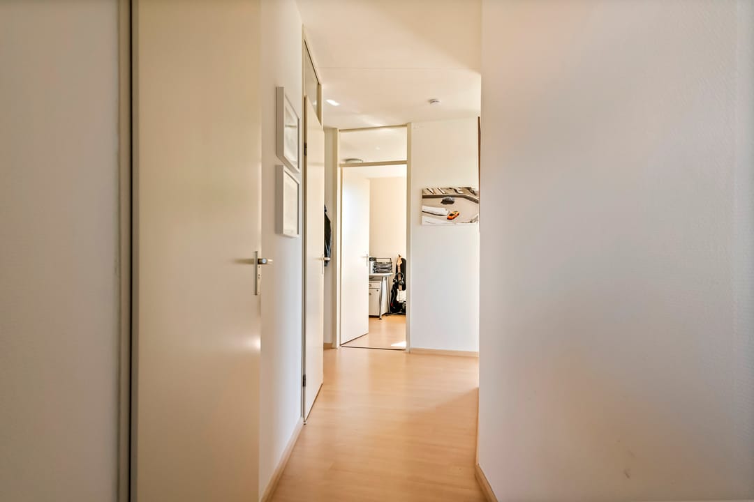 Foto 13 van Liguster 14