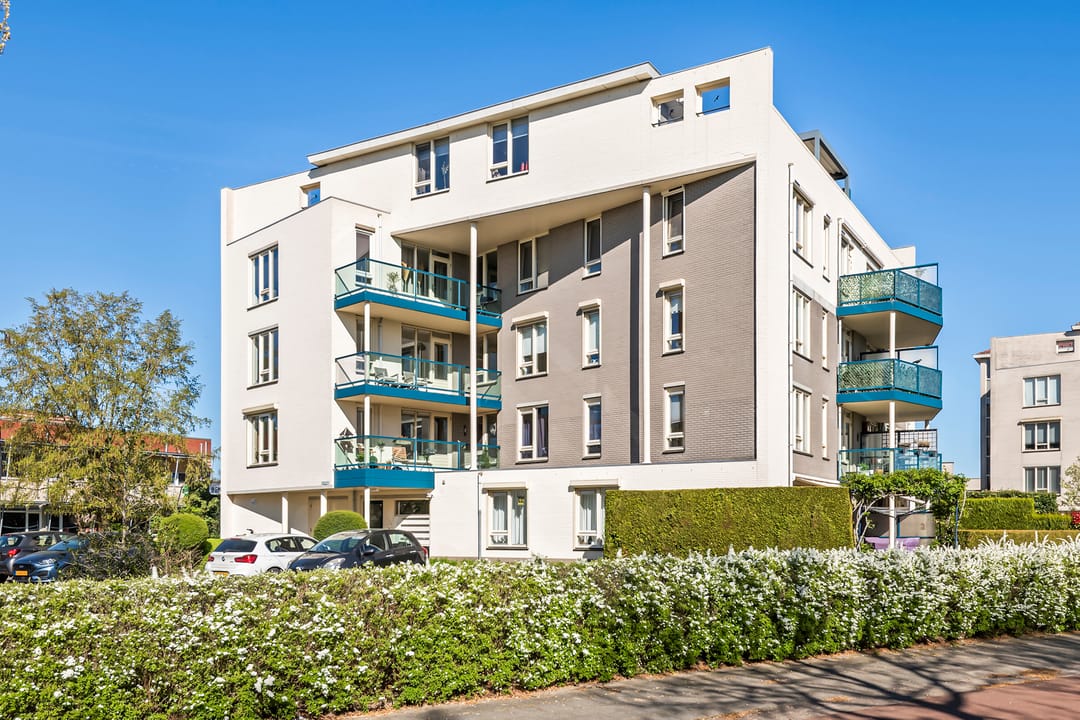 Foto 1 van Liguster 14