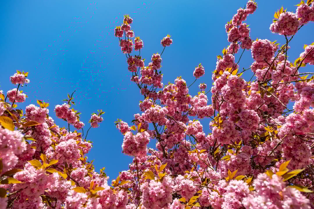 Foto 23 van Helper Brink 49-A