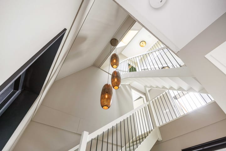 Foto 3 van Waterhoen 8