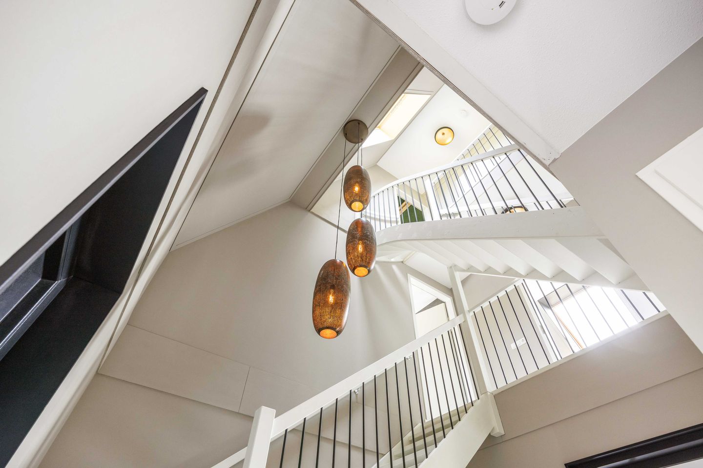 Foto 10 van Waterhoen 8