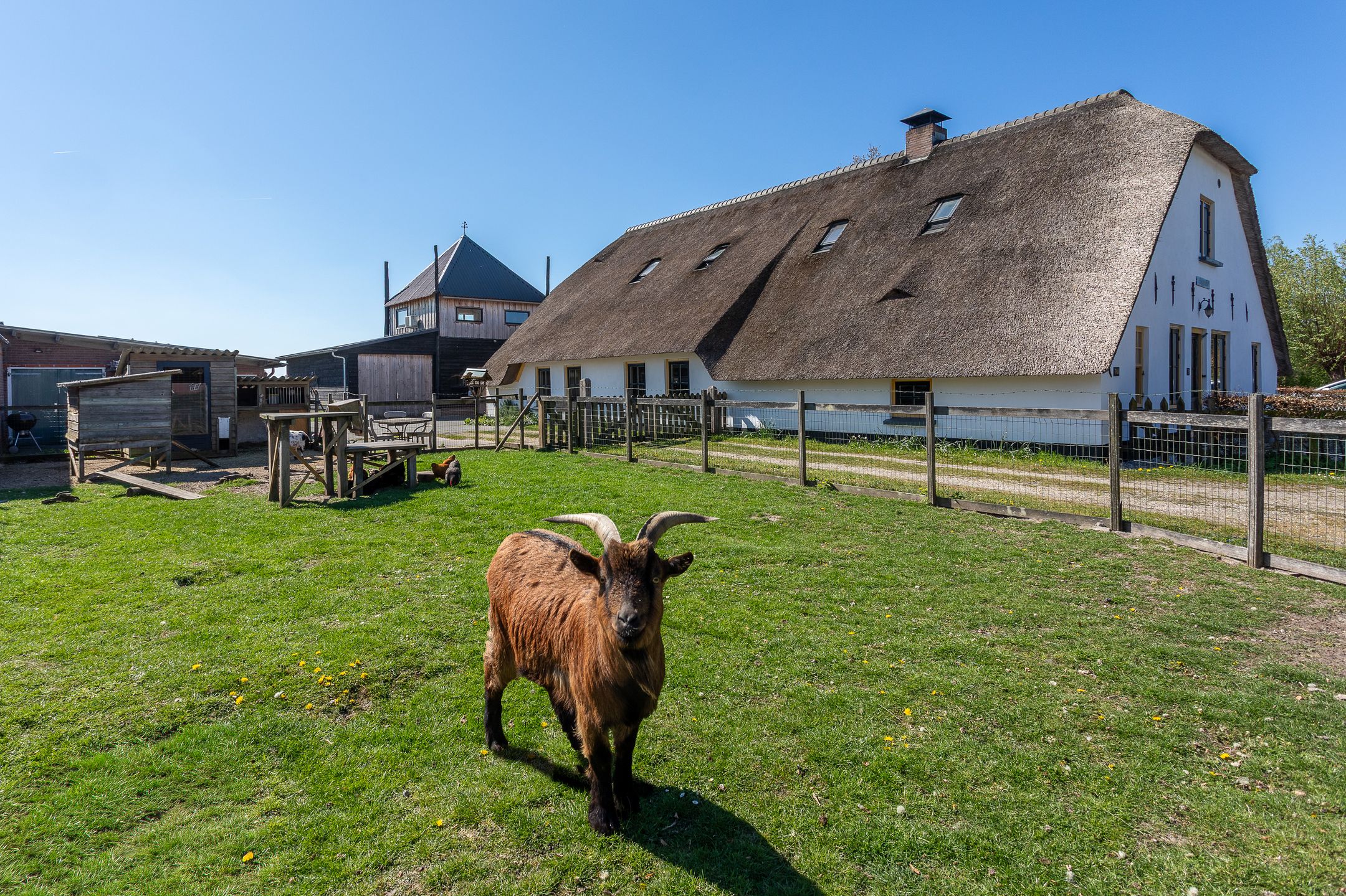 Foto 69 van Graafdijk 76-A