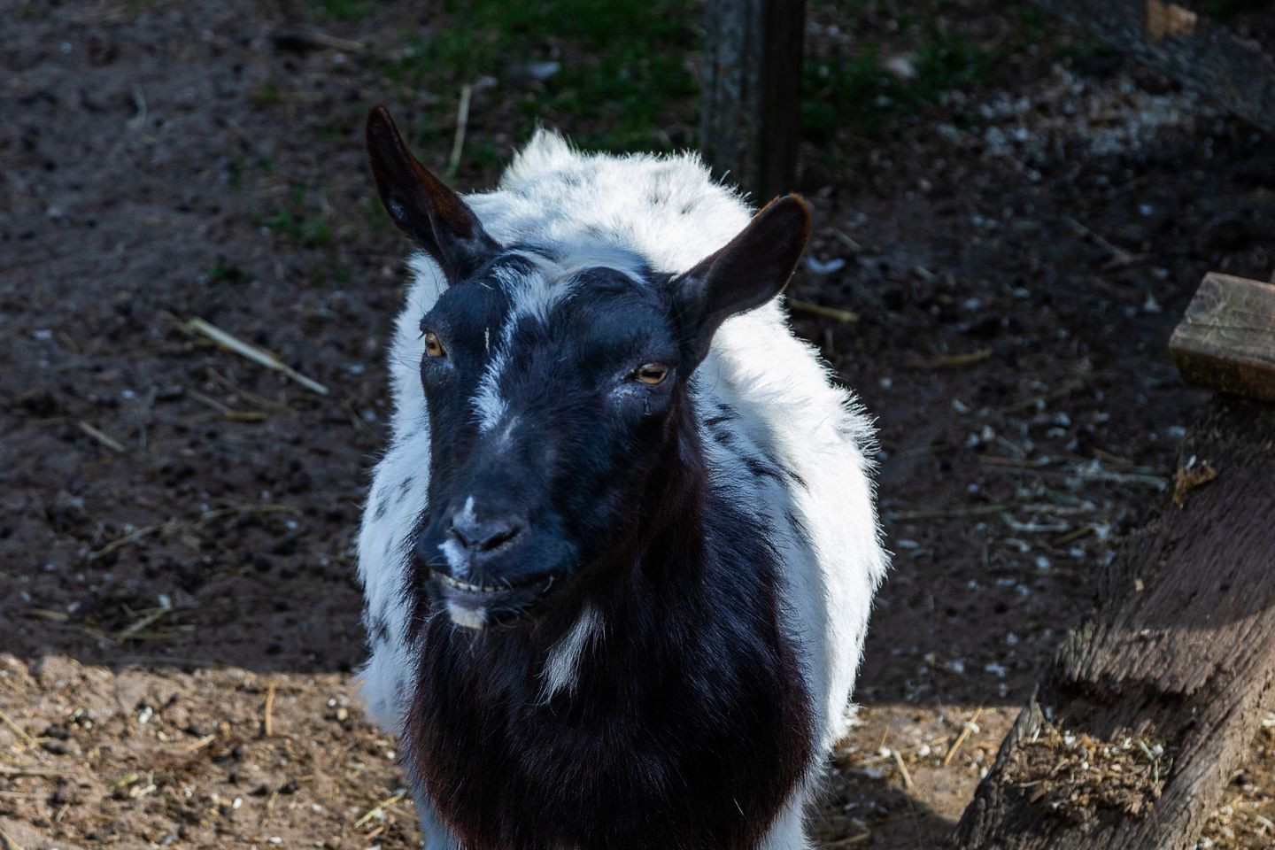 Foto 70 van Graafdijk 76-A