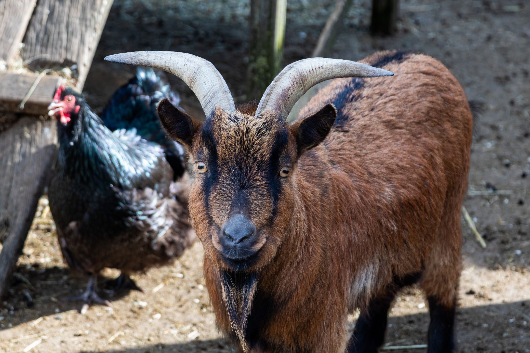 Foto 72 van Graafdijk 76-A