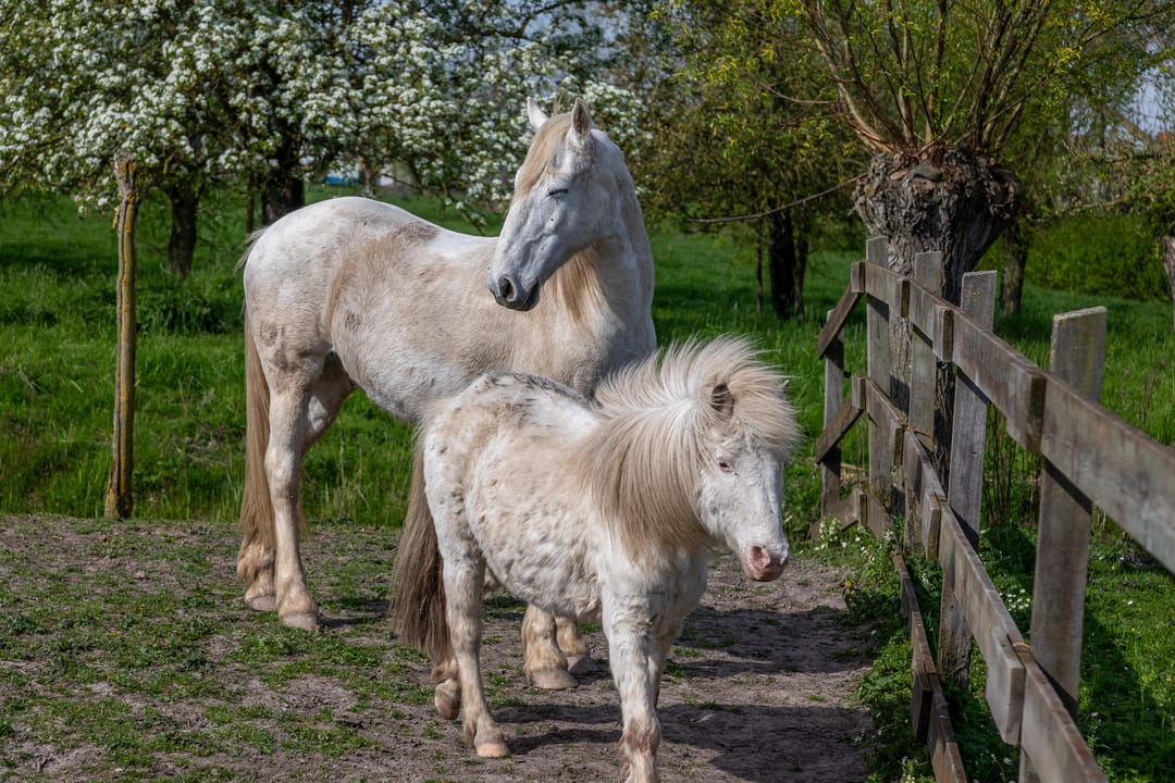 Foto 61 van Graafdijk 76-A
