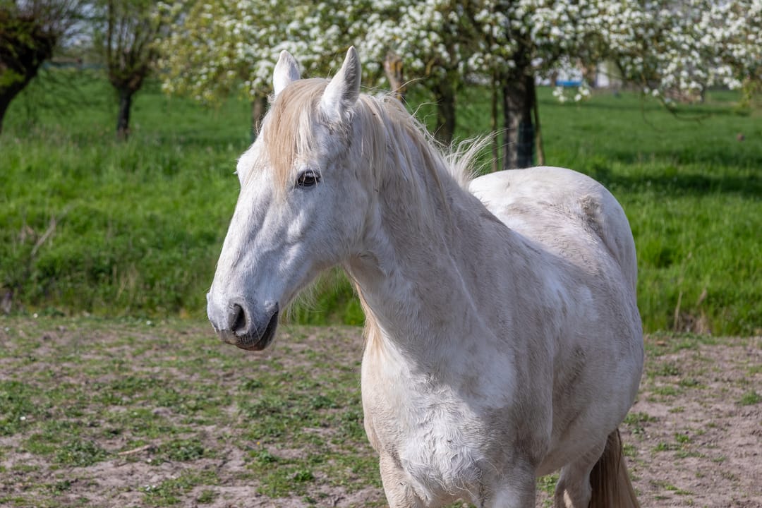 Foto 62 van Graafdijk 76-A