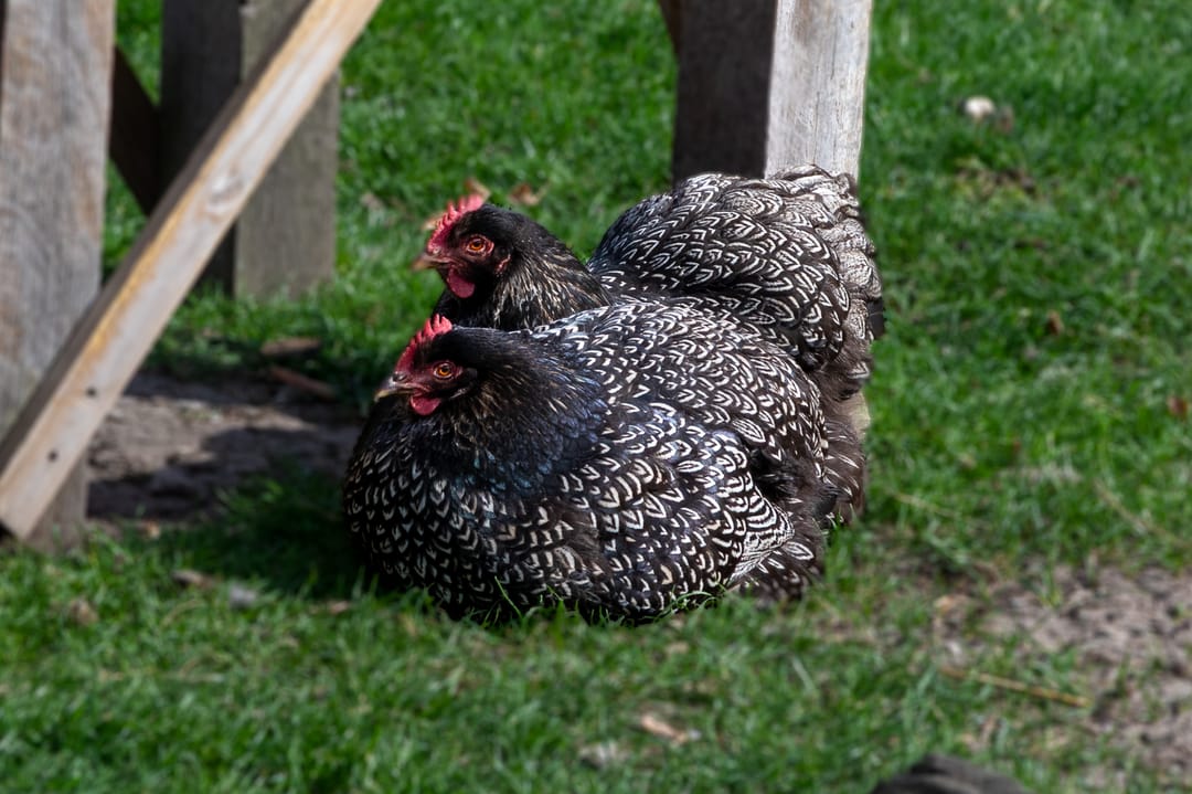 Foto 71 van Graafdijk 76-A