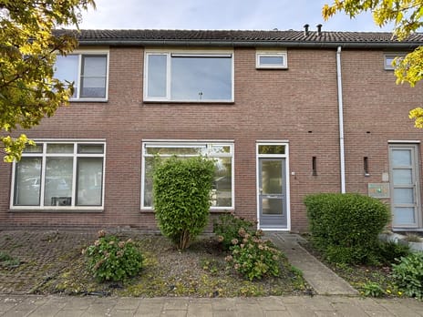 Bogaardstraat thumbnail