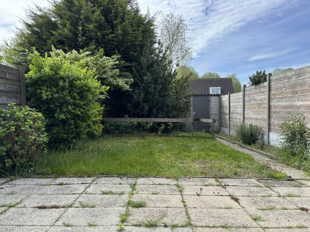 Photo 23 of Bogaardstraat 40